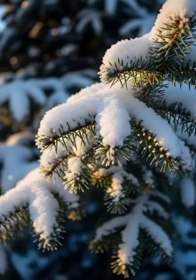 Imagen PNG para descargar